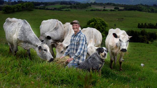 British White president Lindsay Murray of Dingo Lane Farms. Photo: Supplied