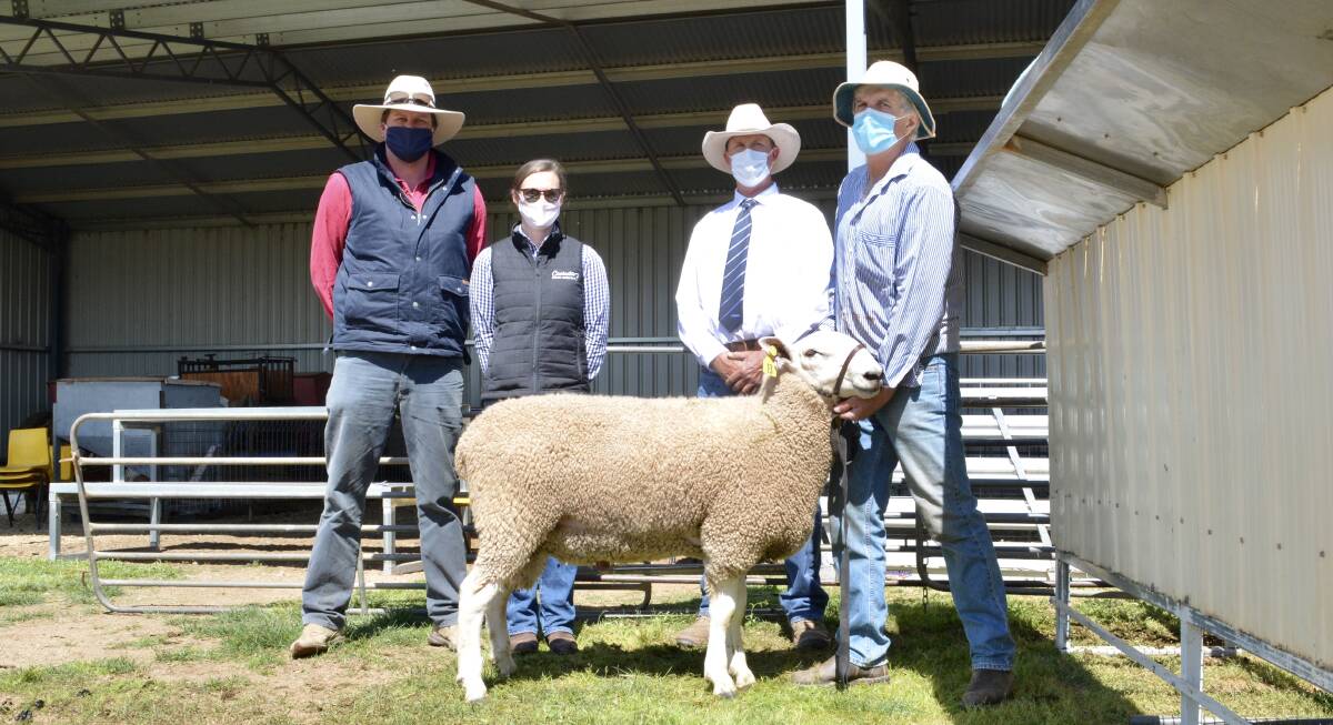 Top-priced buyers George and Cherie Pagan of Cooinda Border Leicesters, Gilgandra, with agent Paul Breen, KMWL Canowindra, and vendor Phillip Russell of Tenalba Border Leicesters, Canowindra. 