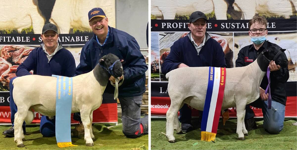 The DSSA national supreme Dorper exhibit and overall show supreme winning ram and the grand champion Dorper ewe with judge Danny Teskera and handlers Wicus Cronje, Burrawang stud, and Huon McIntosh, Awyuna stud, Vic. Photos: supplied 