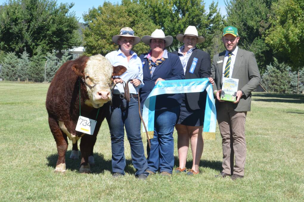 SUPREME: Palisade Ernie takes second consecutive supreme, and third grand champion bull title, at Canberra. Pictured with handler Mackayla Parish, Palisade stud, Bringelly, judges Renae Keith, Allenae Angus and Poll Herefords, and Emily Polsen, Grace Valley Livestock, Yass, and sponsor Shannon Lawlor, International Animal Health. 