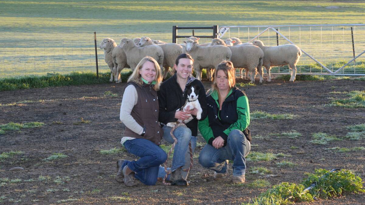 Ros Hicks, her daughter Joanna holding Teddy the dog and stationhand, Emma King, Woodlands, Wallendbeen, with Aug/Sep 2018 drop, second cross lambs averaging 94.8 kilograms sent to Goulburn on Tuesday. Photo: Rachael Webb
