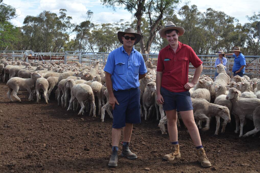 Darryl and Lachlan Kitto, Tallimba, said using EIDs and weighing fleeces has shown variation is a lot more than you think in a classed line of ewes. Photo: Hannah Powe