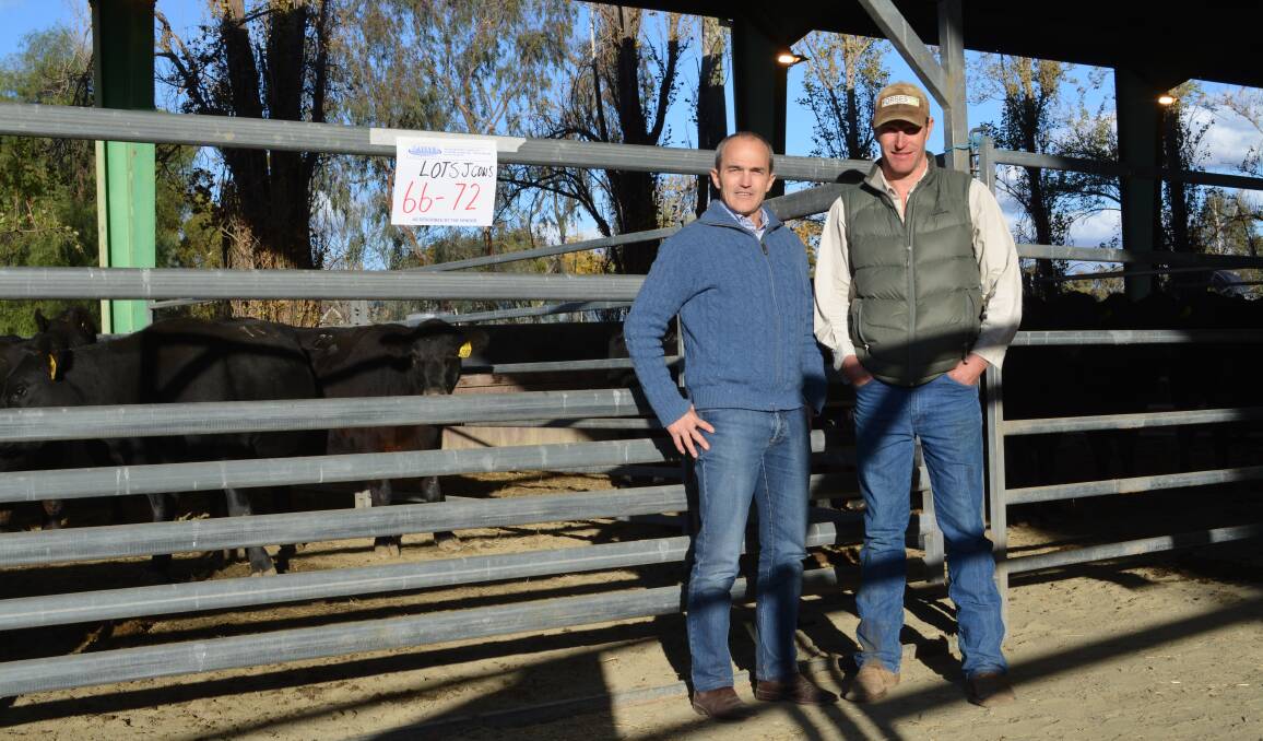 Twynam Agricultural Group founder, John Kahlbetzer, with the Twynam livestock manager, Luke Gleeson, at the dispersal on June 14 held at Jemalong Station.