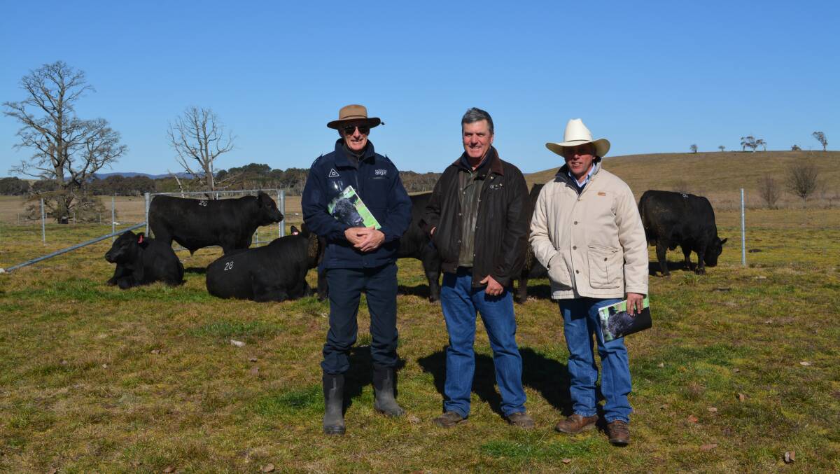 Bannaby Angus owner Keith Kerridge with stud manager Glynn Langford, Taralga, and Landmark Goulburn's Jim Colquhoun, during the 2017 Ausmectin Southern Beef Week. 