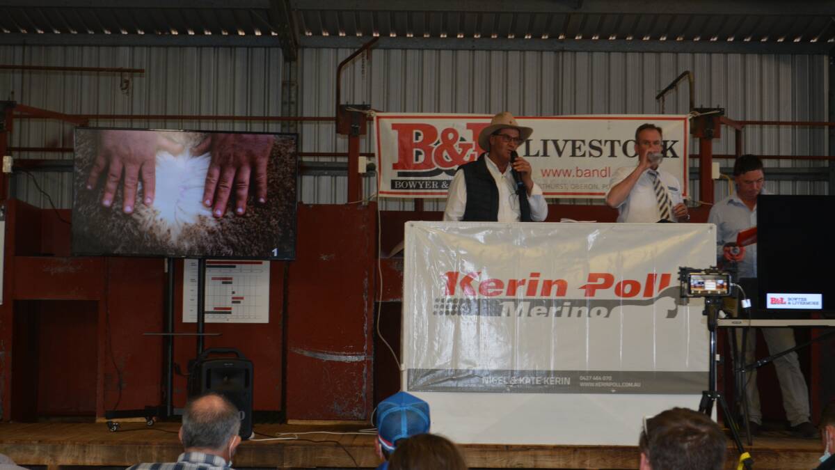 Kerin Poll gross $1.94million in Australian record Merino sale