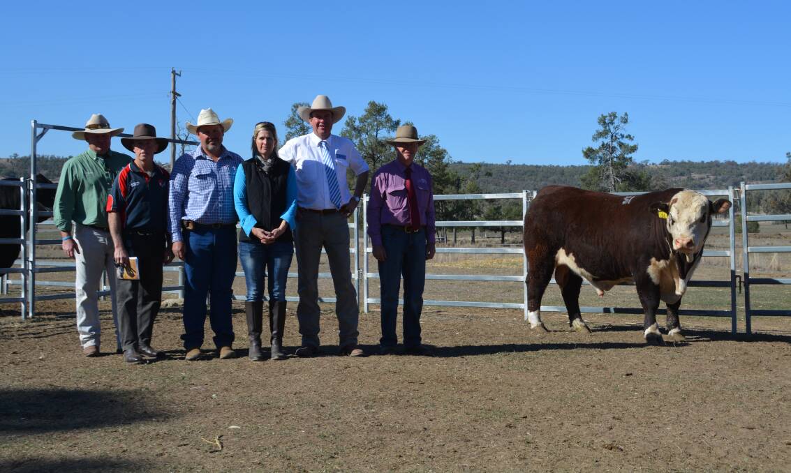 The $15,000 Poll Hereford sale-topper with Landmark agent John Settree, Dubbo; purchaser Gary Anthony, Leongatha, Vic; vendors Ian and Shelley Durkin, Coolatai; auctioneer Paul Dooley, Tamworth, and C.L. Squires and Co agent, Terry Pyne, Inverell. 