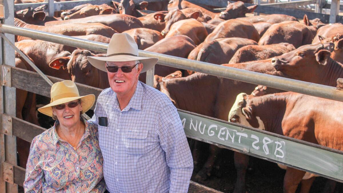 Lynelle and David Nugent, Tambo Station, Tambo, sold 415 steers and 142 heifers at the Roma store sale. Photo: Lucy Kinbacher.