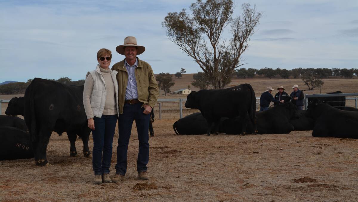 Natalie and Chris Paterson from Heart Angus stud, Timbumburi, opened their gates today with a quality draft of sale bulls for their 2nd annual on-property sale on display. Thirty six bulls, ranging in age from 15-months-old up to 23-months-old, sparked interest from new and existing clients, particularly from the tablelands. 