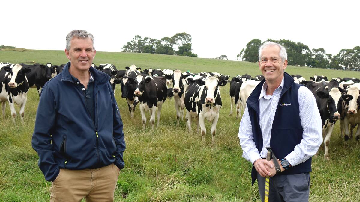 Research papers released this week by farm business consultant Neil Lane and Dr Jon Hauser of Xcheque have highlighted how feed productivity remains the key to farm profitability. Photo: supplied 