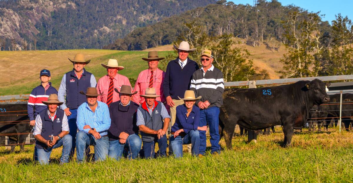 The $190,000 bull at Knowla Livestock's sale with Gus and Matt Spry, Allan Laurie, Brian Kennedy, Paul Dooley, Gerald Spry, (kneeling) Ted and Jack Laurie, Tom Wilding-Davies, James and Georgia Laurie. Photo: Annie Laurie 