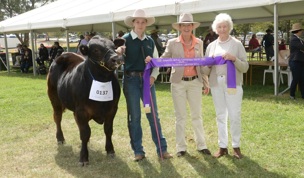 The grand champion bull is held by Zoe Thompson with judge Kerrie Sutherland and Carolyn Tooth. Picture: Rachael Webb