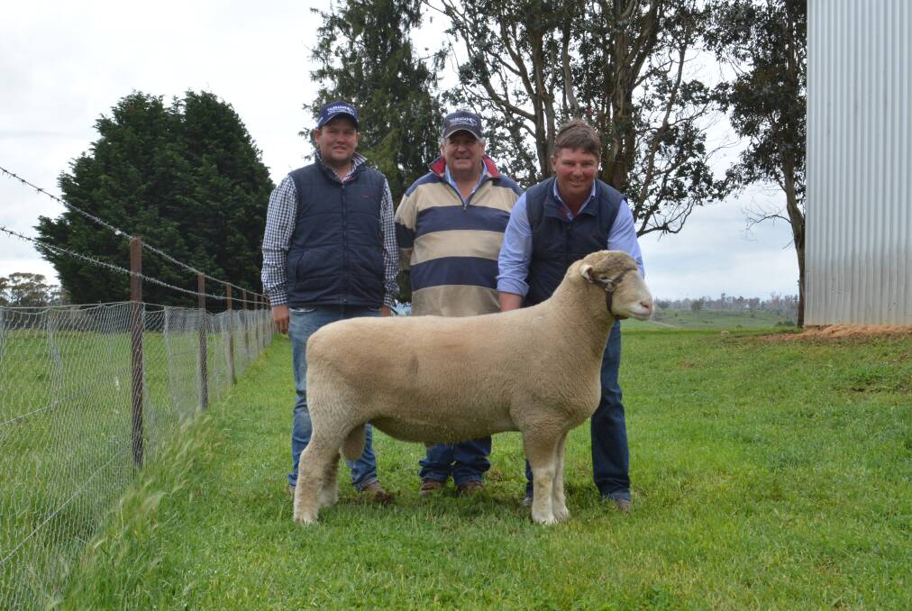 The $4750 top-priced ram with buyers Ben and George Simmons, Koolyn, Leadville near Dunedoo, and James Frost, Hillden Poll Dorsets, Bannister