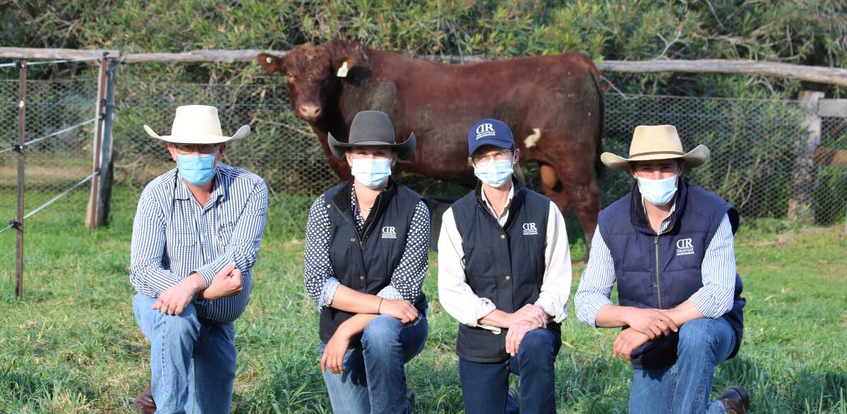 Stuart Sheldrake, McGrath Upper Hunter, Sophie, Nic and Angus Robertson, Turanville Shorthorns, Scone with the $21,500 top-priced Turanville Crusher Q92. Photo: supplied 