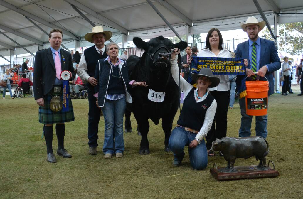 Judge William McLaren, Scotland, with the supreme Angus exhibit from Greg, Sharon and Christie (front) Fuller, Pine Creek Angus, Cowra, being sashed by Karen McLaren and sponsor Shannon Lawlor from International Animal Health. 