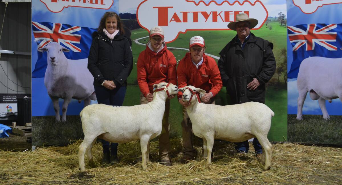 Justine and Rob (right) Aitken of Aitken Australian White stud, Bundarra, with two of the four ewes they purchased, including the $24,000 top-priced ewe (left), Tattykeel 'Rose Gold' 200132, held by Ross Gilmore, and $21,000 second-top ewe (right), Tattykeel 200951, held by James Gilmore. 