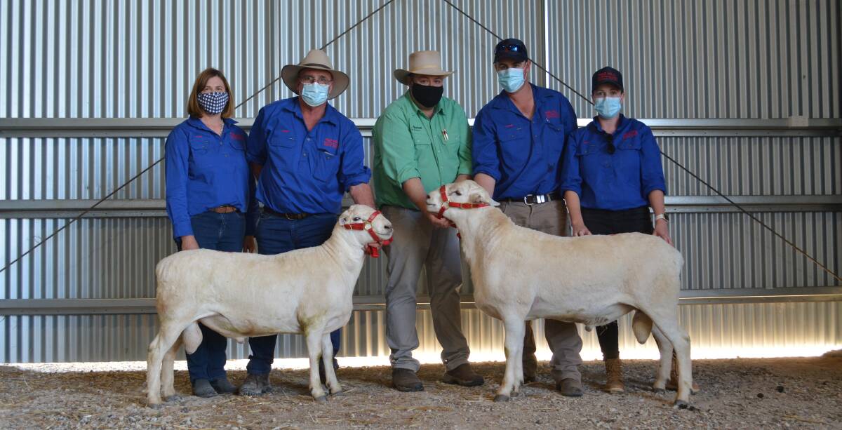 The $11,000 equal top-priced rams purchased by Queensland buyers with auctioneer Brad Wilson (centre), Nutrien stud stock, Dubbo and Leanne, Robert and Ethan Endacott and Aimee Toole, Red Hill Australian White stud, Wongarbon. 
