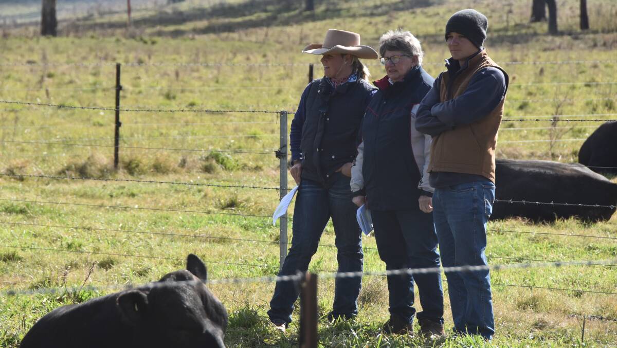 Jen Quera, Lyn Frecklington and Nathan Leach inspecting bulls at Ben Nevis Angus, Walcha. Photo: Andy Saunders