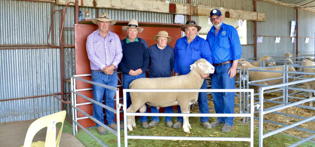 The equal top-priced ram with auctioneer Lindsay Fryer of McCarron Cullinane, Orange, buyers Jason Ponds and Stephen and Dave Pascoe, Loloma Partnership, Forest Reefs, and vendor Chris Roweth of Windy Hill Poll Dorsets, Browns Creek. 