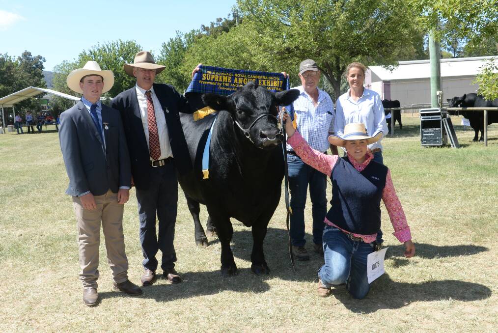 Associate judge Hamish Maclure, Tarcutta, and judge Peter Collins, Tennyson, Victoria, with their supreme Angus exhibit held by Sophie Halliday, sashed by Stuart Brewley, Bewmont stud, Boorowa, and pictured with Bronwyn Halliday, Wildes Meadow. 