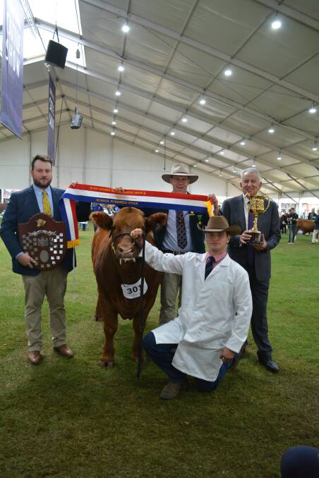 Judge Ben Davies from Thomas Foods International with the grand champion school steer held by Bailey Ryan, Scots All Saints College, and sashed by RAS councillor Alastair Rayner and Paul Lederer. 
