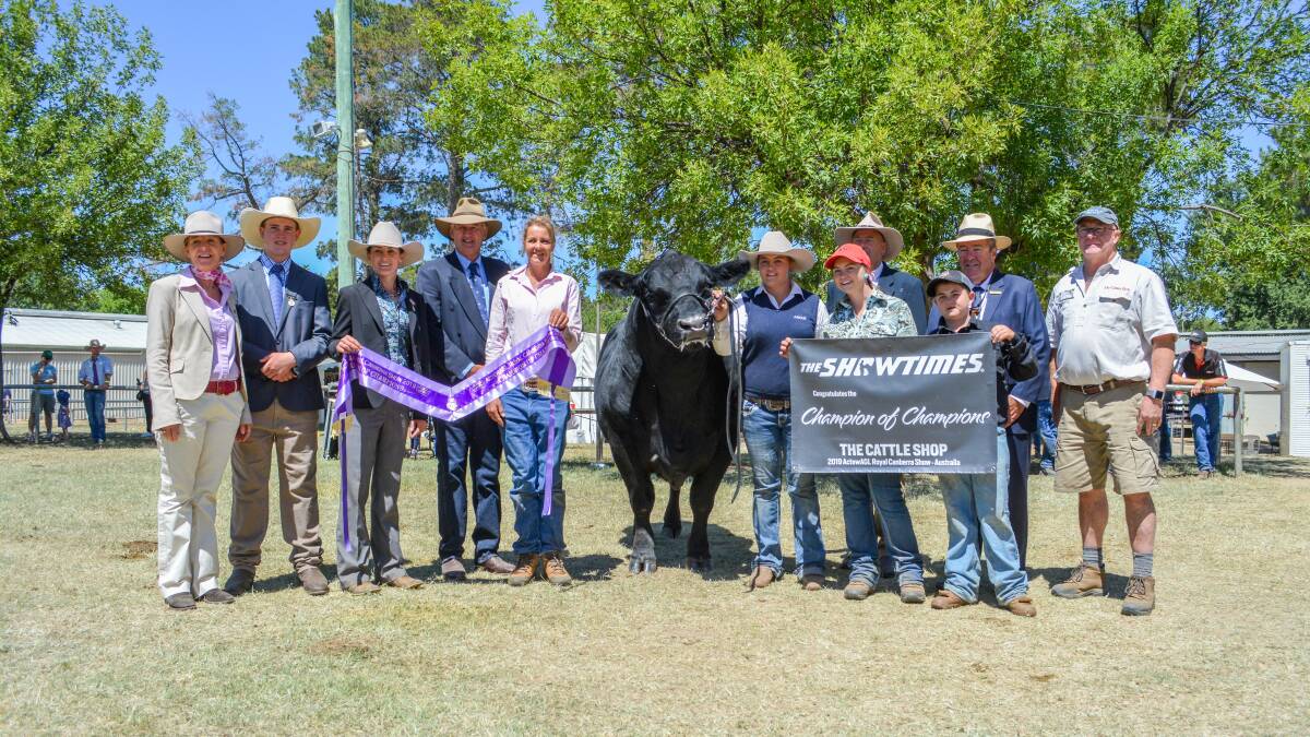 Non-Stop run to Royal Canberra interbreed title
