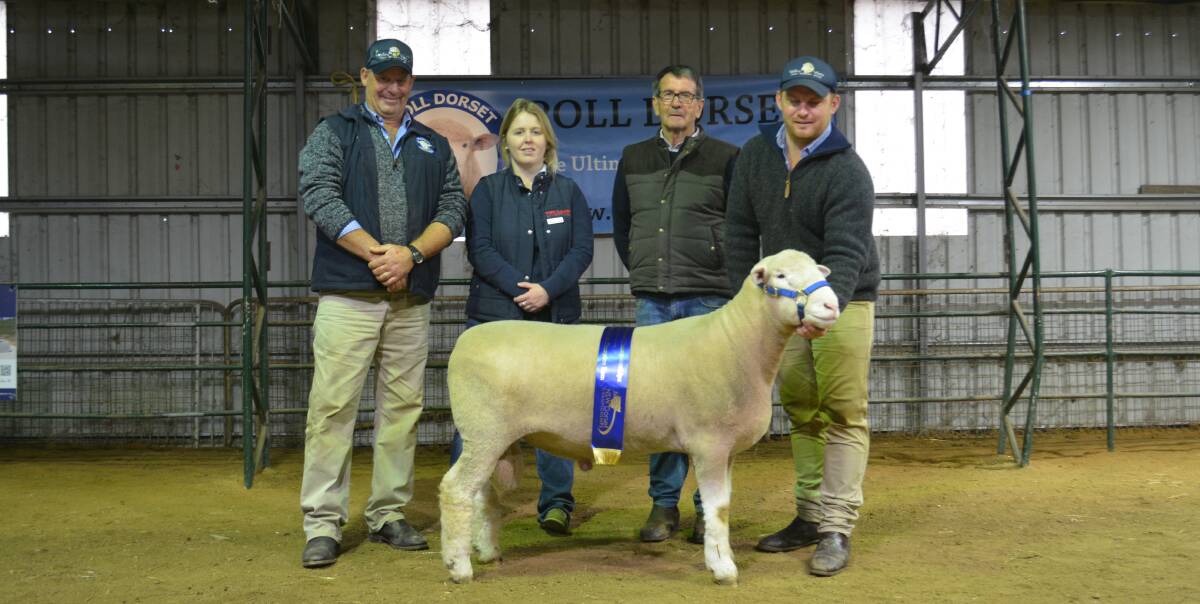 The senior and grand champion ram, Valley Vista 155-21, with Andrew and Joe (right) Scott, Valley Vista stud, Coolac, The Land sales representative Charlotte Davis, Yeoval, and judge Rod Davies from Wrattenbullie stud, Naracoorte, SA. 