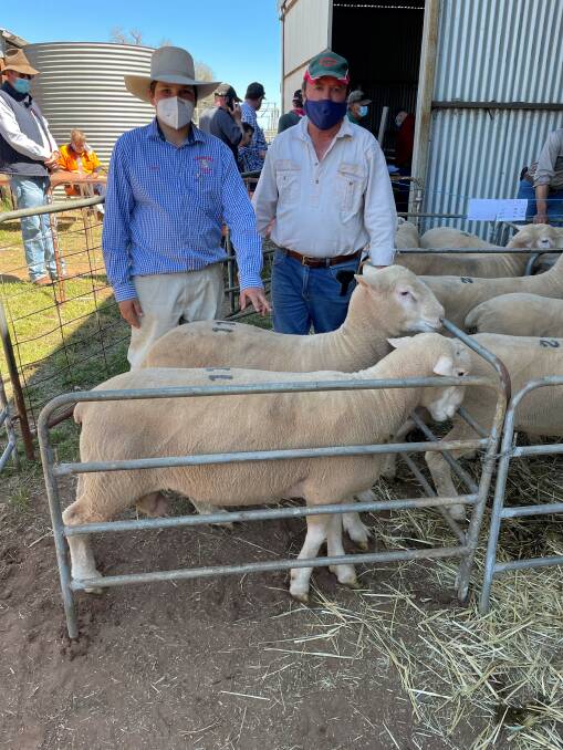 Seth Whiteman of Gillmore stud, Yeoval, with buyer of the $4000 top-priced pair, Harold Baker, Scarborough Lodge, Wellington, standing over the sale-toppers. 