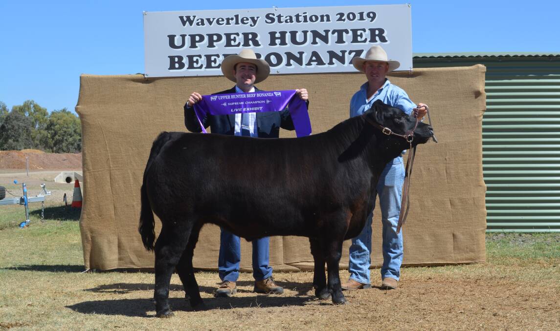 The 2019 Upper Hunter Beef Bonanza judge Jake Phillips, Teys Australia, SA, with the supreme exhibit winning steer, an Angus Limflex cross, exhibited and led by Travis Worth. Photo: Hannah Powe