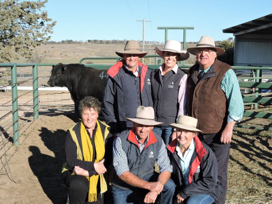 The $15,000 equal top-priced bull Dulverton Nothin Leica Dane N326 purchased by Knowla Livestock, Moppy, and Booragul Angus, Piallaway. Pictured are the Chappell and Laurie families. Photo supplied. 