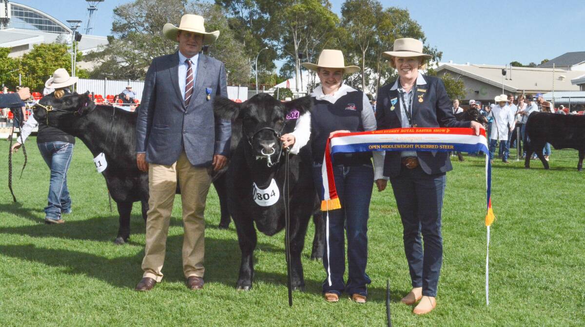 Judge Kieran Te Velde, Bob Jamieson Stock and Station Agents, Inverell with Blue Gene Cattle Company's middleweight champion led by Tayla Miller, Parkville, and sashed by RAS cattle councillor Alison Hamilton. Photo: Hannah Powe