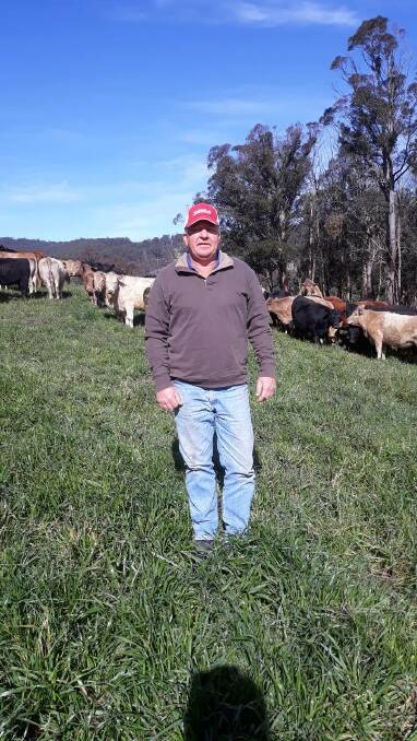 Walcha beef producer Neil Dunn, Wirraway, Walcha, with rising two-year-old crossbred females on ryegrass crop. Photo: supplied 