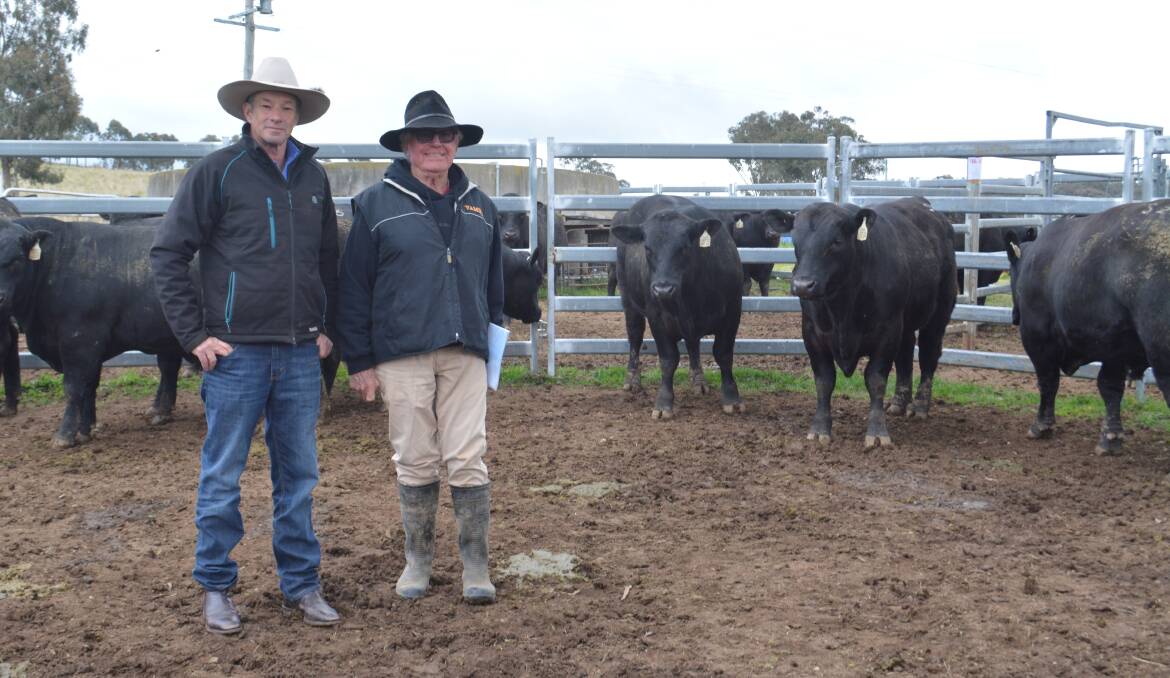 Volume buyer and purchaser of the $20,000 second-top priced bull, Yamba Beastly S39, Simon Matear, Wantabadgery Pastoral, Wantabadgery, with vendor Brian Powell, Yamba Angus, Orange. 