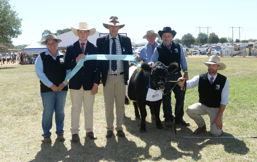 The supreme Miniature Belted Galloway exhibit was Kermond Park Nine exhibited by Shane Smeathers and William Brighan. 