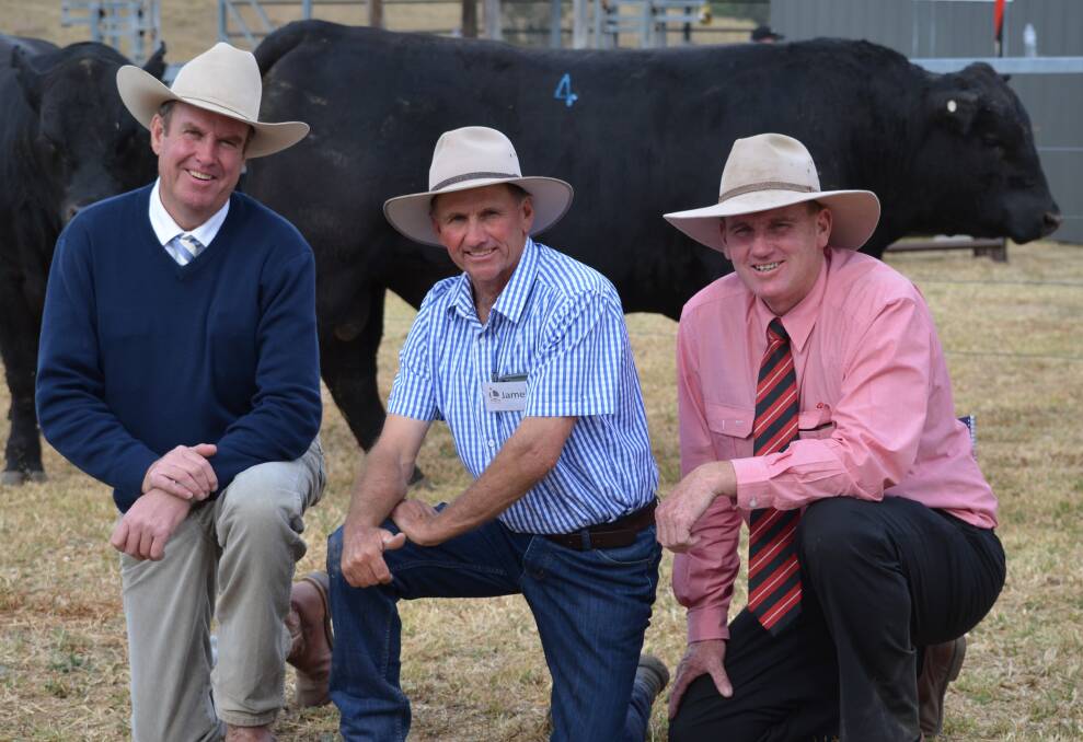The $18,000 top-priced bull, Knowla Monty M186, with auctioneer Paul Dooley, Tamworth; James Laurie, Knowla Livestock, and Nick Hall, Elders. 