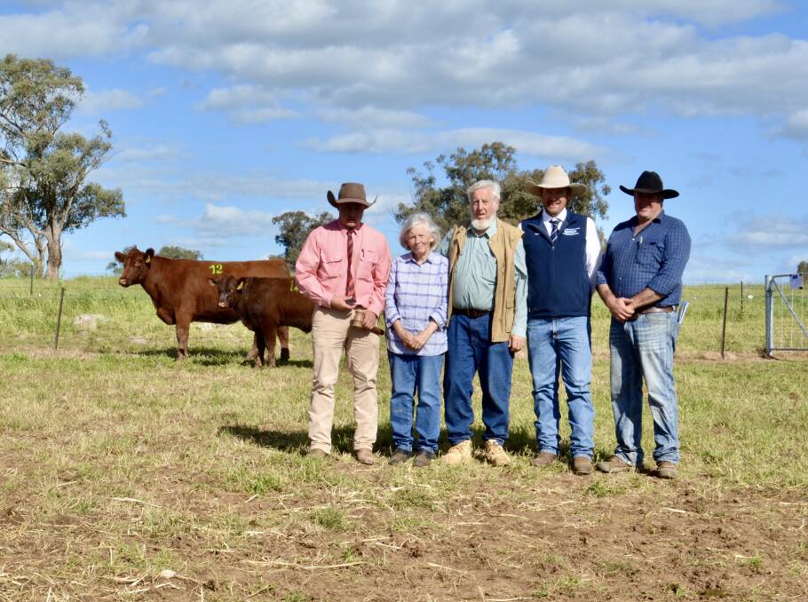 The $32,500 top-priced female with auctioneer Lincoln McKinlay, Elders, Inverell, Sonya and Lester Job of Moombi Shorthorns, Yeoval, auctioneer Luke Whitty, KMWL, Forbes, and buyer Nicholas Job, Royalla Shorthorns, Yeoval. 