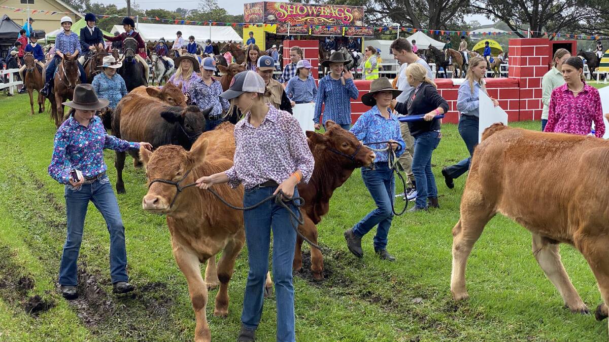 Outbreaks of COVID-19 in NSW has resulted in ag shows scheduled for this January to cancel or change their plans. Refer to the agshowsnsw.org.au website for updates. Photo: File photo