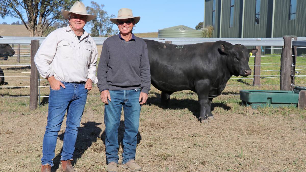 Long-term repeat buyer Robert Mackenzie of Mackas Angus, Salt Ash, and vendor Jim Tickle, Sugarloaf Angus, Dungog, with the $28,000 second top-priced bull. Photo: supplied