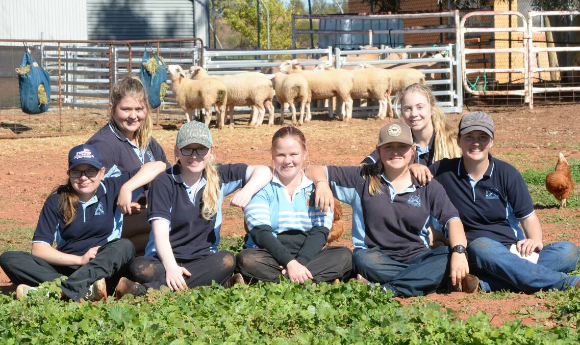 Year 9 and 10 Lake Cargelligo Central School agriculture students with purebred White Suffolk lambs that will be part of their paddock-to-plate venture. Photo: Rachael Webb