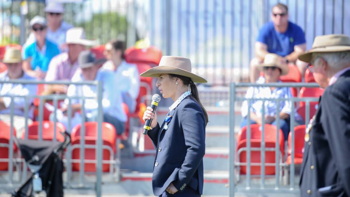 Dream comes true: Hannah Powe judging the Charolais breed at the Sydney Royal Show. Photo: Lucy Kinbacher