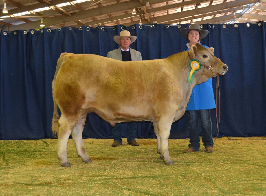 Reserve champion in the 2018 Clipex Silver Calf Championship went to Tookawhile Silver, exhibited and held by Heidi Nicholls from Tookawhile Charolais, Rukenvale. Pictured with judge Don Riley, Oakvale Limousins, Coonabarabran. 