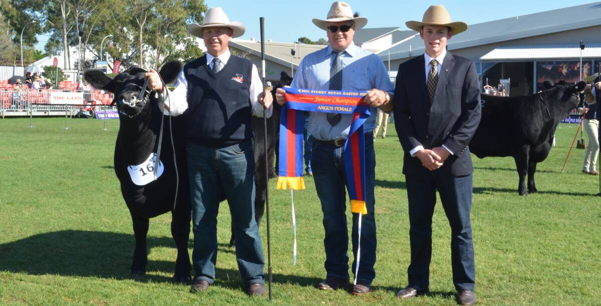 Richard and Ben (right) Duddy of Killain Angus, Tamworth with their junior champion heifer and Mark Lucas (centre) of Reiland Angus, Tumut. 