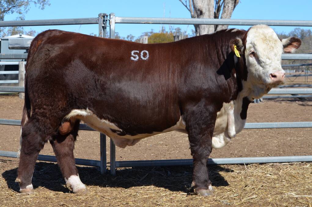 The $18,000 sale-topper Mountain Valley Pioneer P318 purchased last weekend by Deloraine Rural, Morven. Photo supplied. 