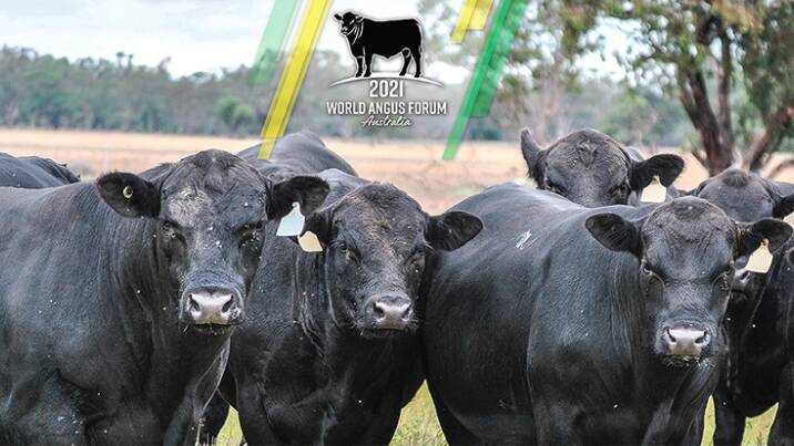 The World Angus Forum due to be held in April 2021 has regrettably been postponed to 2022. Photo: Angus Australia website