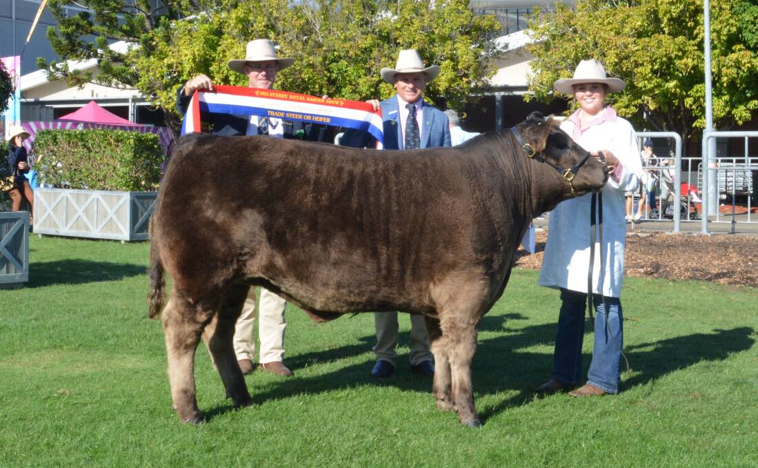 RAS cattle councillor Alastair Rayner and judge Craig Price, Kilcoy Global Foods, Kilcoy, Qld, sash the champion trade steer exhibited by Scots All Saints College, Bathurst, and handled by Gabby Toby, year 11. Photo: Hannah Powe 