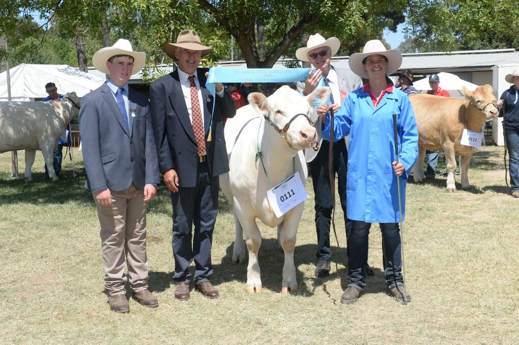 Associate judge Hamish Maclure, Tarcutta, and judge Peter Collins, Tennyson, Victoria, along with Phil Bower, sash the supreme Charolais exhibit held by Breanna Holmes, Tumut High School. 