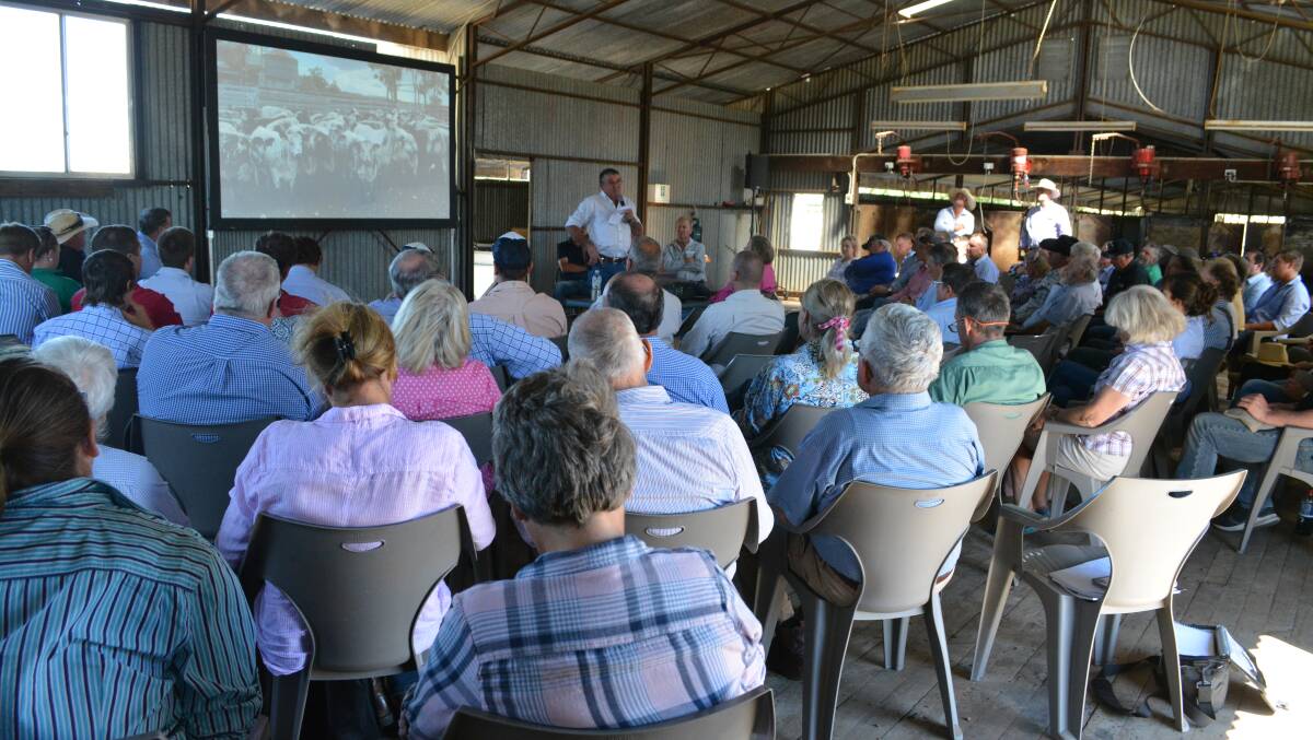 Nearly 100 people attended the Why Speckle Park field day at Yeoval, that hosted a range of speakers from across the supply chain telling there stories and experiences with the breed. 