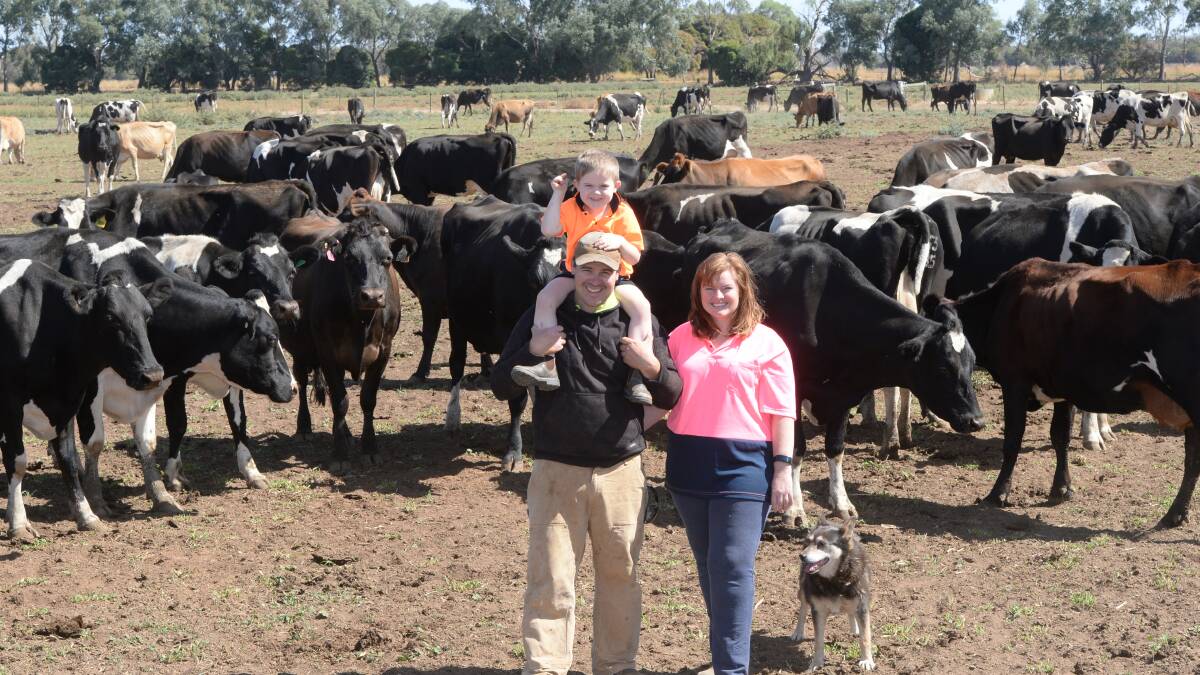 Aaron and Rikki-Lee Tyrrell with their son Emmett, 4, and their dog at Tyrrells Family Dairy, Invergordon Vic. They are a Lion supplier. Photo: Rachael Webb