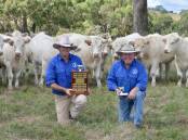 James and Michael Millner, Rosedale Charolais, Blayney, and a selection of the stud's joined heifers. Photo: Hannah Powe