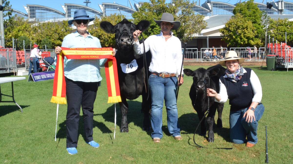 Jill Grieves of Talooby stud, Bylong, with the reserve senior champion female from Diamond Angus held by owner Christie Fuller, Cowra, and Andrea Falls. 