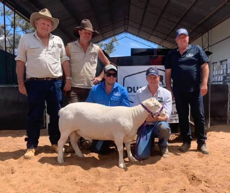 The $21,800 top-priced ram with buyers John and Luke Palmer, Mt Manara Station, Ivanhoe, Jack and Gary (right) Cullinan, Dust'N Rain Dorpers, Pooncarie, and Darren Old, BR and C Agents, Mildura, Vic. Photo: supplied